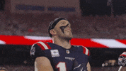 Football Smile GIF by New England Patriots