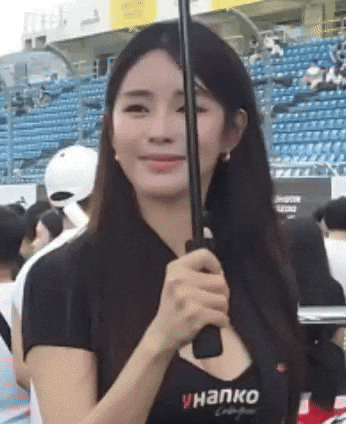 Model GIF