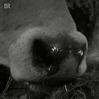 Country Eating GIF by Bayerischer Rundfunk