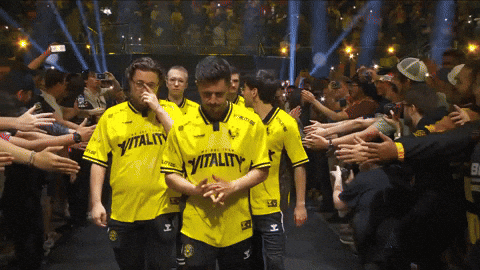 Esports Austin GIF by BLAST