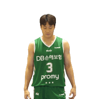 dbins 원주db dbpromy Sticker
