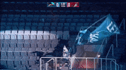 Flag GIF by sjsharkie.com
