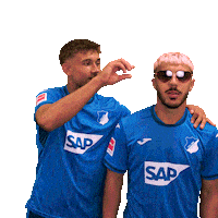 Sport Bundesliga Sticker by TSG Hoffenheim