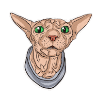 Cat What Sticker