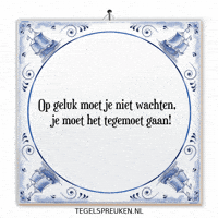 Humor Nl GIF by Tegelspreuken.nl