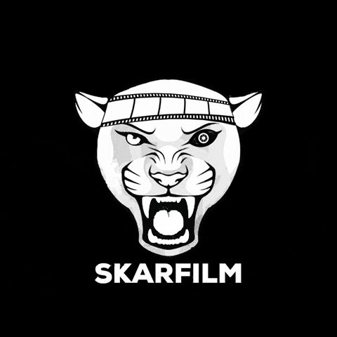 SkarFilm giphygifmaker director panther skarfilm GIF
