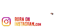 Itxvijaygautamboi Sticker by BORN ON INSTAGRAM