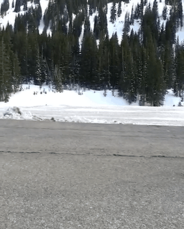 party ski GIF