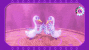 Viva Pinata Xbox GIF by Rare Ltd