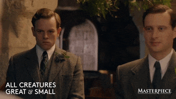 Help Me Wedding GIF by MASTERPIECE | PBS