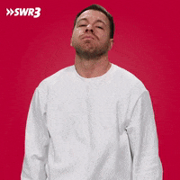 Bored To Death Omg GIF by SWR3