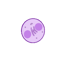 Biology Cell Sticker