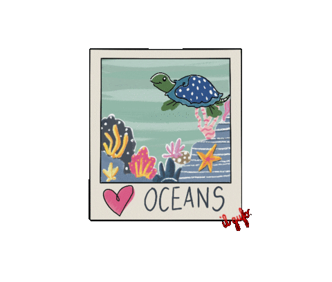 Sea Turtle Hawaii Sticker by Il Gufo