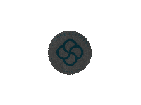 Ssfoundation Sticker by SSF