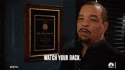 Nbc GIF by SVU