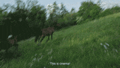 Streaming Indie Film GIF by Arrow Video