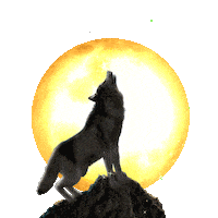 Hungry All Night Sticker by chris timmons