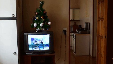 giveinternet giphyupload GIF