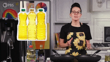 GIF by PBS Digital Studios