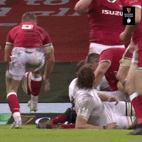 Wales Rugby Sport GIF by Guinness Six Nations