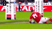 Celebrate France GIF by Guinness Six Nations