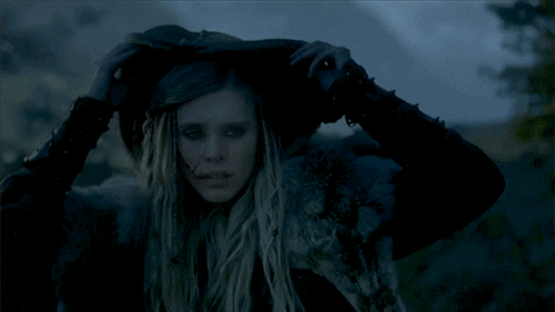 vikings GIF