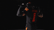Vancouver Db GIF by BC Lions