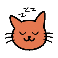 respekTiere cat cats animal pet Sticker