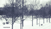 Snow Winter GIF