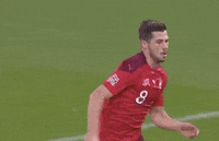 Nations League Sport GIF