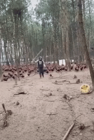 GifVif giphyupload lord of the ring GIF