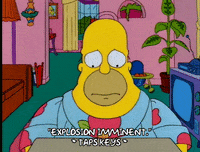 homer simpson GIF
