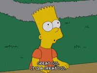 bart simpson episode 6 GIF