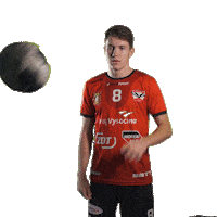Handball Sticker by Hazena Nove Veseli