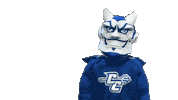 Blue Devils Ct Sticker by Central Connecticut State University