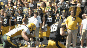 north dakota state football GIF by NDSU Athletics