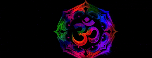 filippasdris  GIF