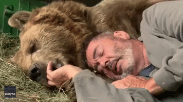 Unflappable Wildlife Carer Lets Bear Lick His Fingers and Face