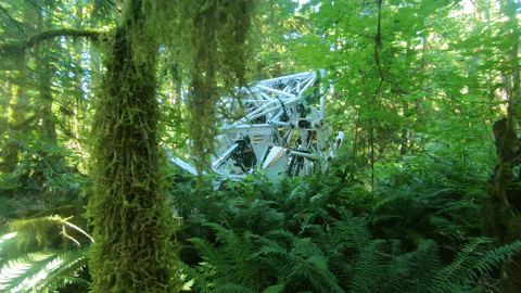 megabots giphyupload prosthesis mech racing GIF