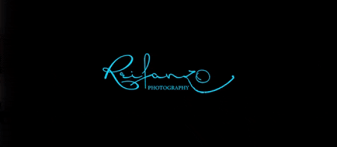 Logo Wedding GIF by Reifanzo Photography