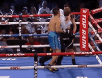 toprank fight boxing fighting espn GIF