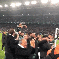 ASSEofficiel mood squad joie asse GIF