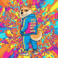 Shiba Inu No GIF by Doge Pound