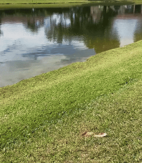 watchgrindr giphyupload GIF
