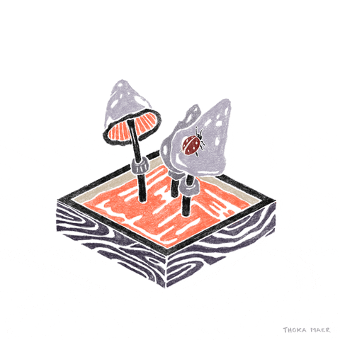 mushroom ladybug GIF by Thoka Maer