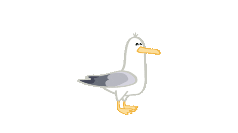 Seagull Gull Zeemeeuw Meeuw Haring Noordzee Scheveningen Zeeland Sticker by Allie the Ellie