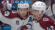 Stanley Cup Hockey GIF by NHL
