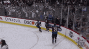 ice hockey sport GIF by NHL