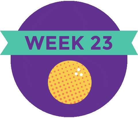 Pregnancy Baby Size Sticker by What to Expect