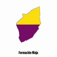 Comunidad De Madrid Flag GIF by Formación Ninja